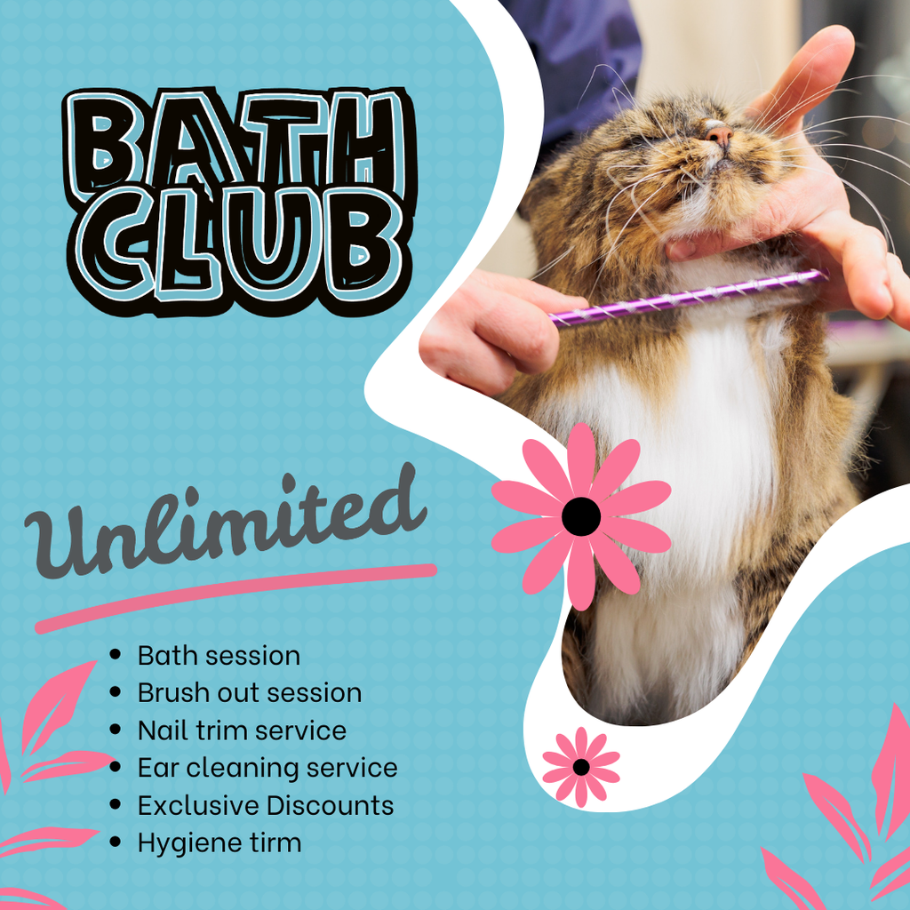 Bath Club Membership - 6 Months