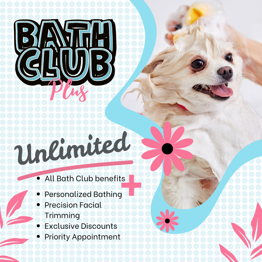 Bath Club +Plus Membership - 6 months
