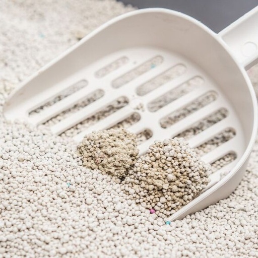 [635934609236-Strawberry] Purrify Original Cat Litter - 10Ltr Strawberry